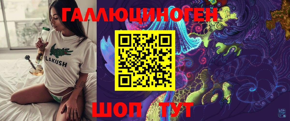 Галлюциногенные грибы Cubensis Губкинский