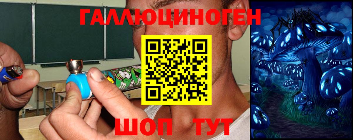 Псилоцибиновые грибы Psilocybe  Вход с VPN  продажа наркотиков  Псилоцибиновые грибы мицелий  Губкинский 